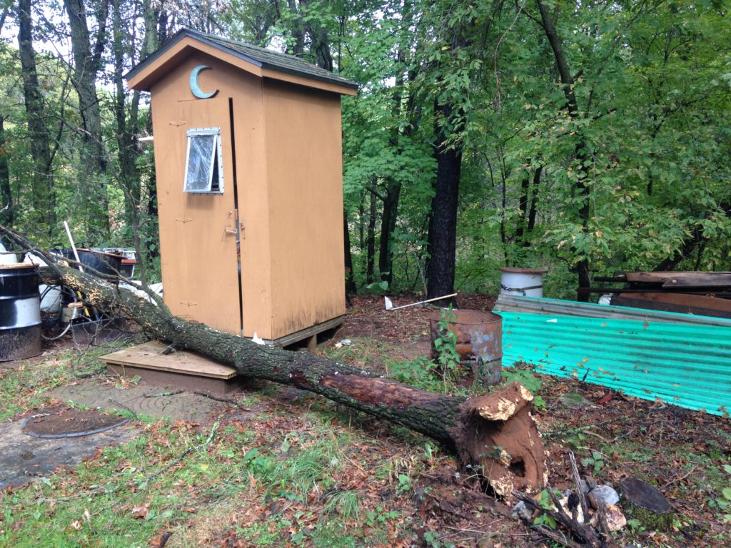 wind and rain took this tree out - and very nearly our outhouse