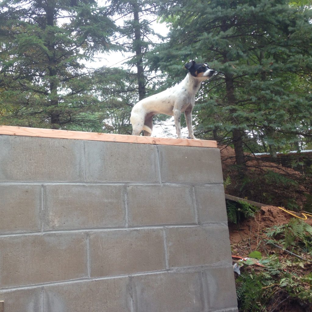 Widget atop the root cellar - which is on track to be complete before winter comes in earnest!