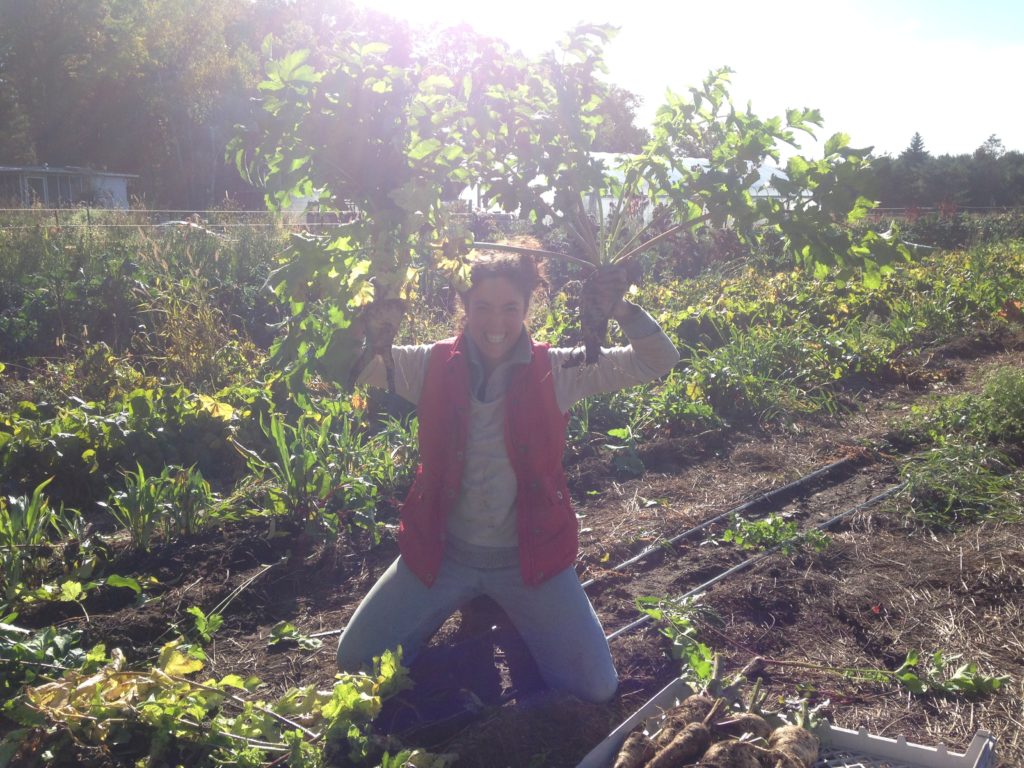 conquering the parsnips