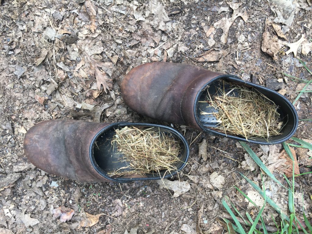 Kristin's shoes after hay mulching