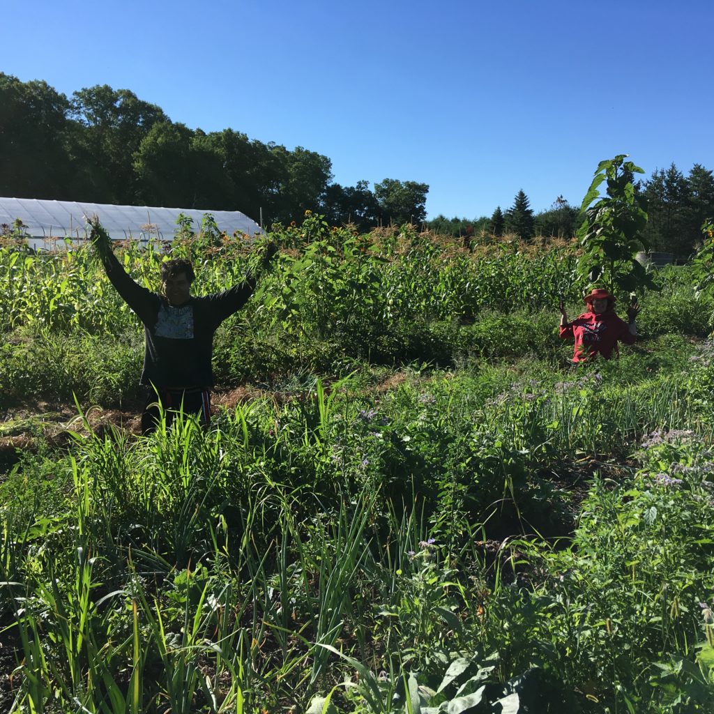 Friends Marcio & Julia drowning in weeds, i mean, helping harvest onions