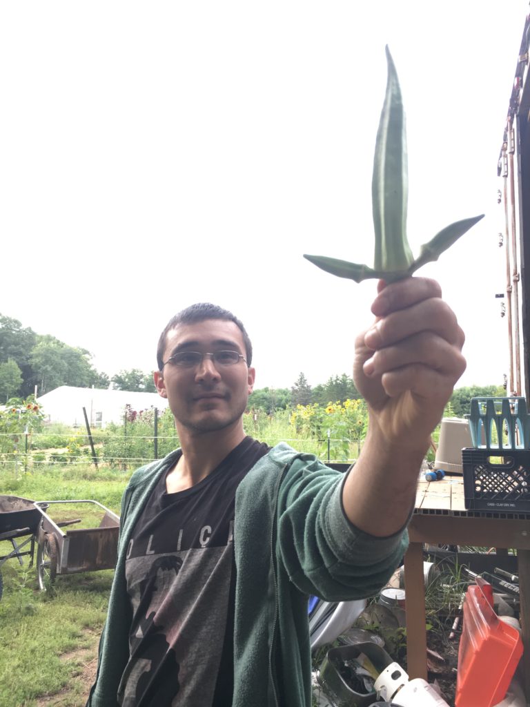 freaky trident okra 