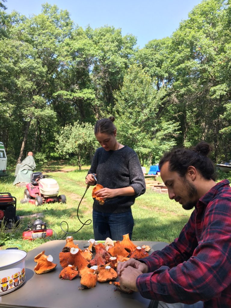 WWOOFer Mercedes w/ Special Friend, processing lobster mushrooms for the market