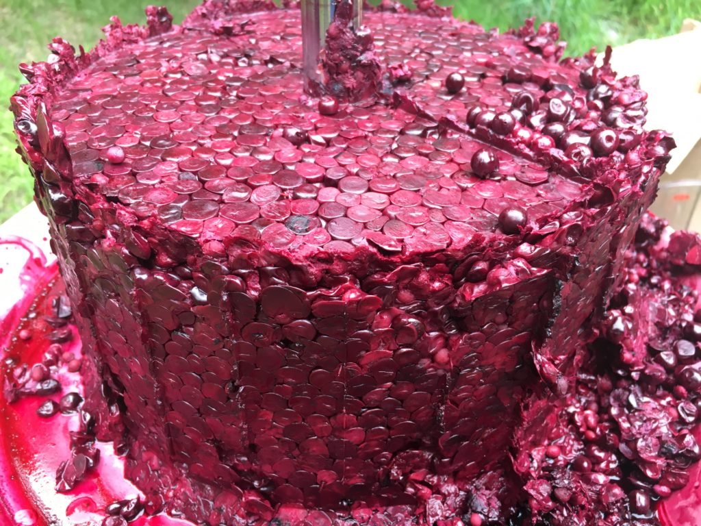 wild chokecherries after having their juices pressed out