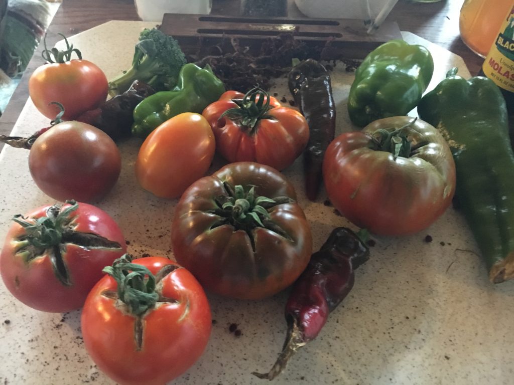 we get to eat the ' ugly' & damaged tomatoes