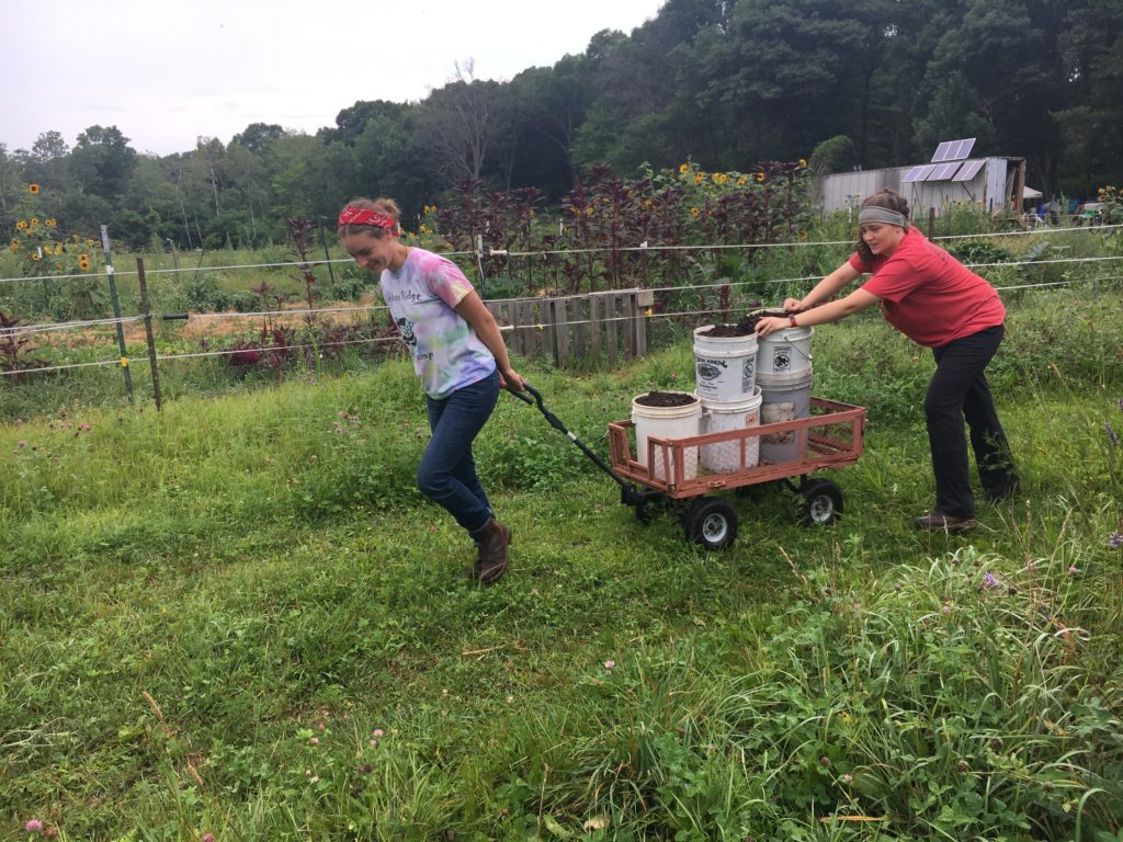 doing the compost shuffle - preparing for next spring's needs