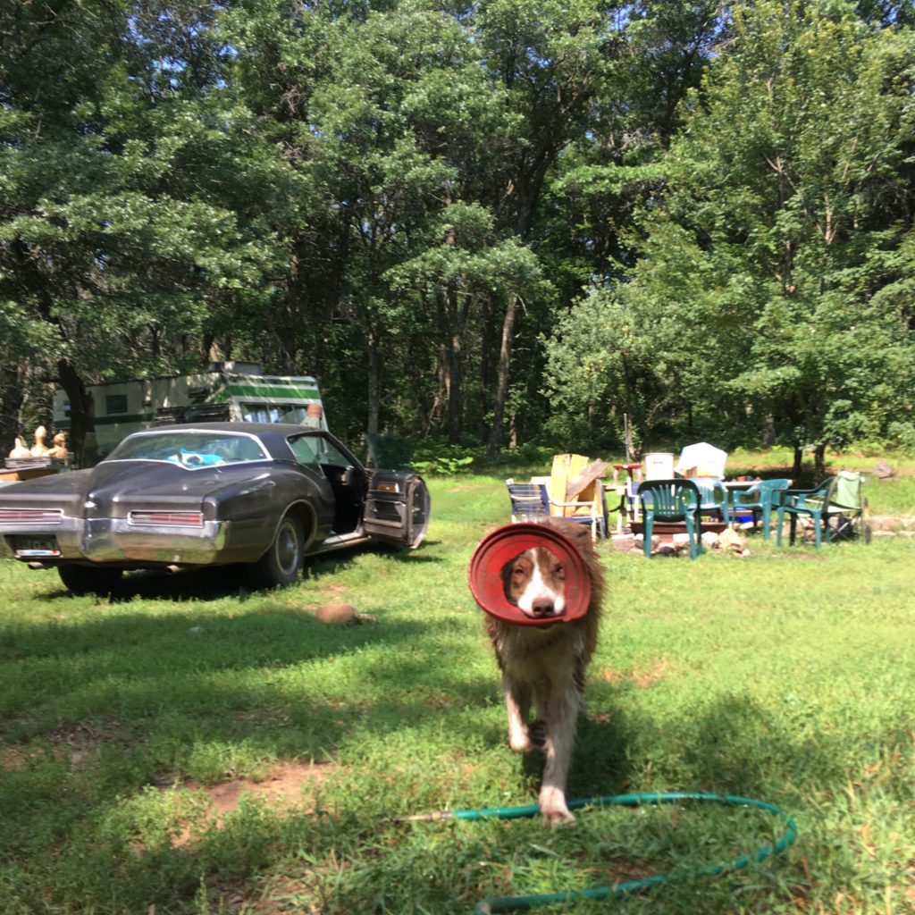 Ace ripped out the center of his frisbee and now runs around with it like this