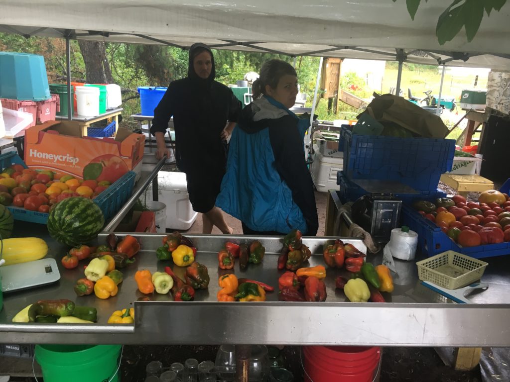 Madeline scowls at the rain, Jeff vogues, and tomatoes, melons, and peppers do their thangs