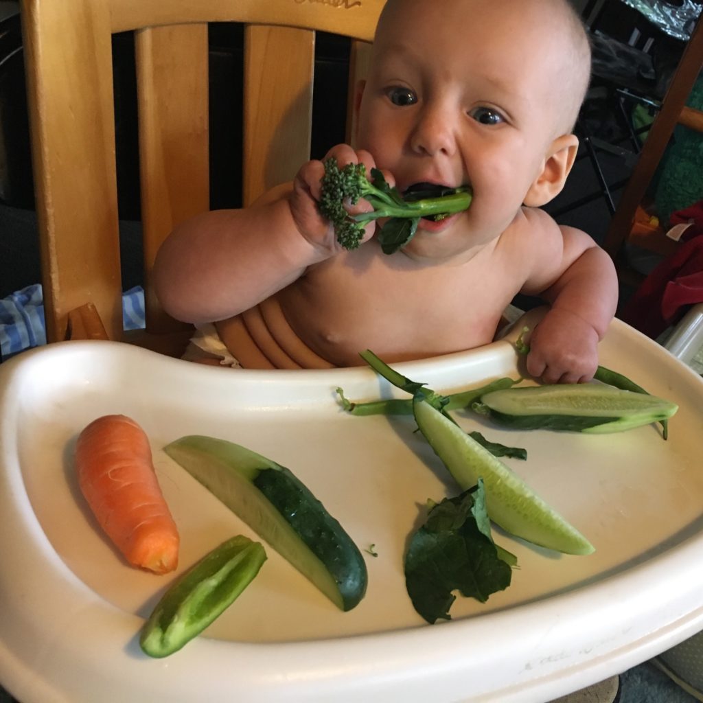 cutting his teeth on the bounty of the land