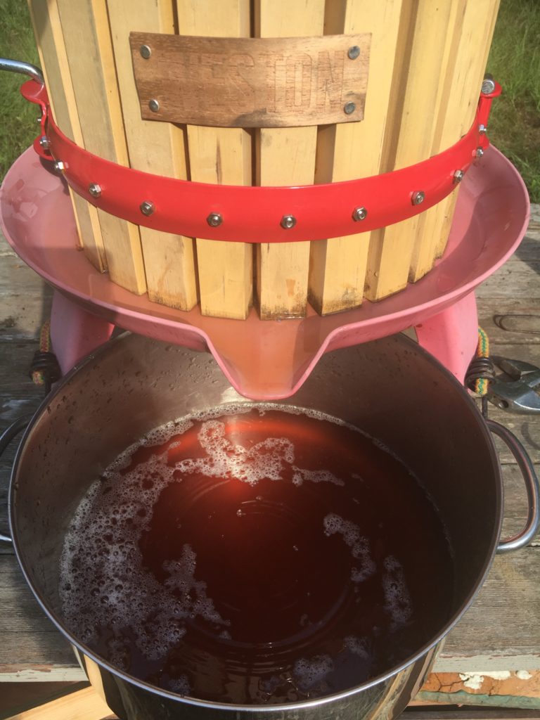 squeezing the precious juices out of a bucket of crabapples