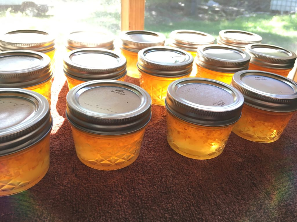 Habanero Gold pepper jelly, setting up