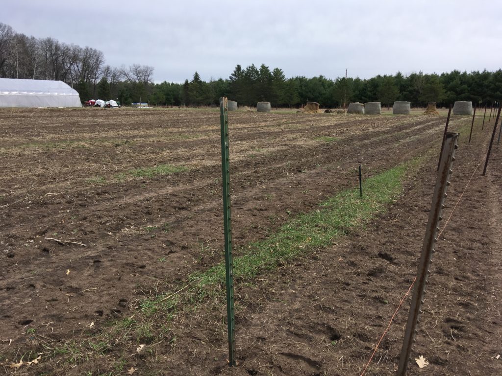 fence posts for the deer fence going up