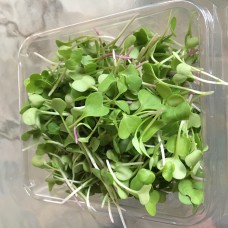 Radish micro greens (1/2 pint)