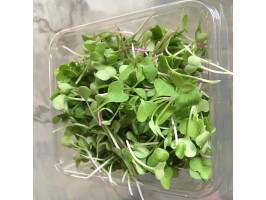 Radish micro greens (1/2 pint)